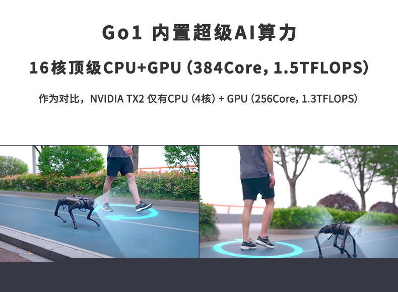 GO1_07