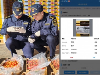 ںP(gun)ܲ(yn)C(j)(j)